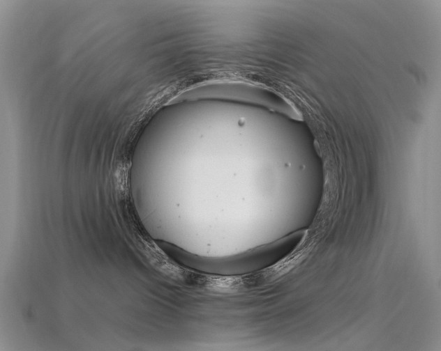 X0000115740096200911121111