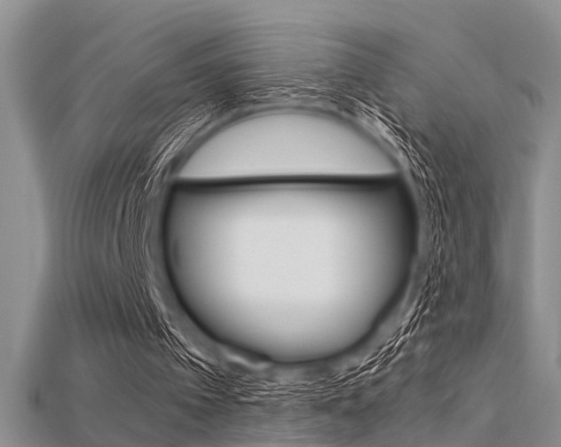 X0000115740097200911121110