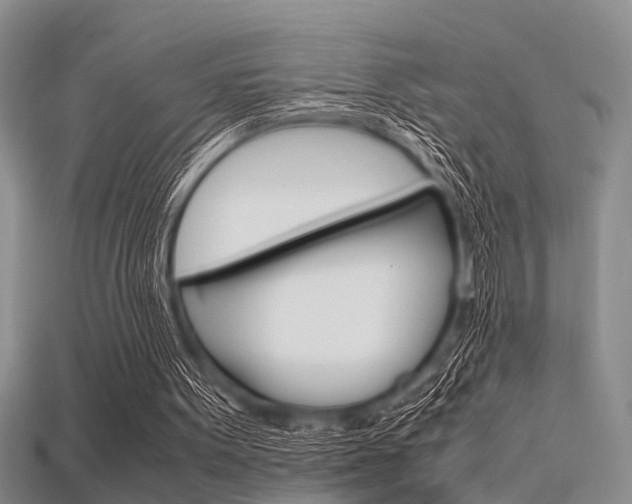 X0000115740099200911121110