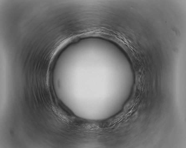 X0000115740100200911121110