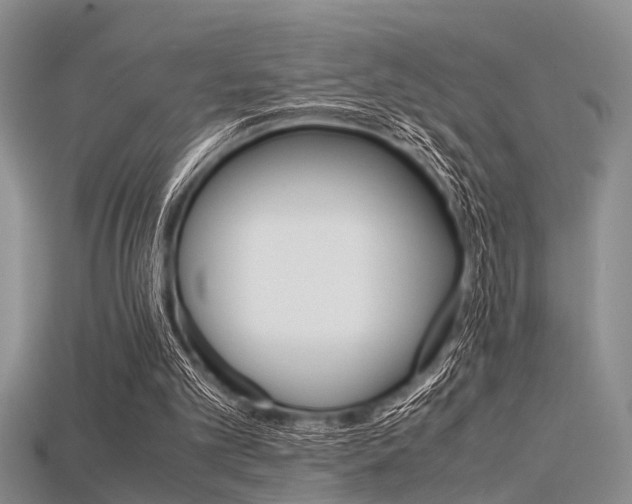 X0000115740101200911121110