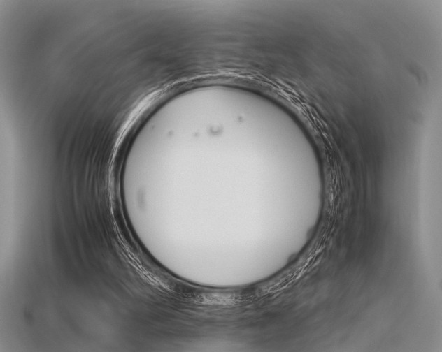 X0000115740102200911121110