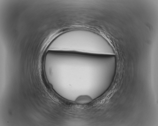 X0000115740103200911121110
