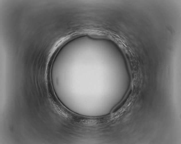 X0000115740104200911121110