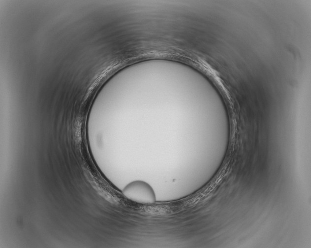 X0000115740106200911121110