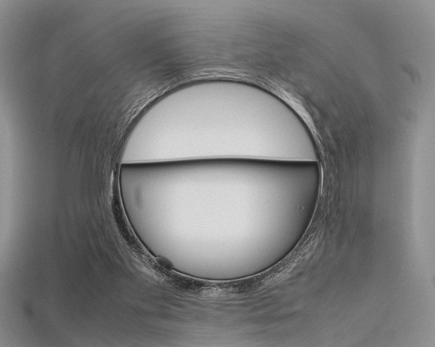 X0000115740109200911121110