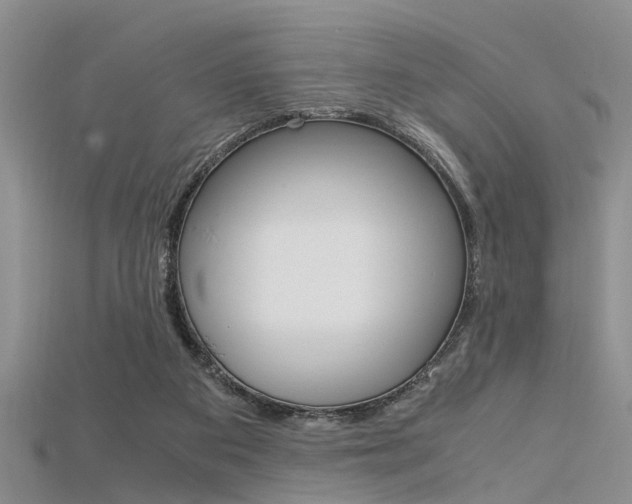 X0000115740113200911121110