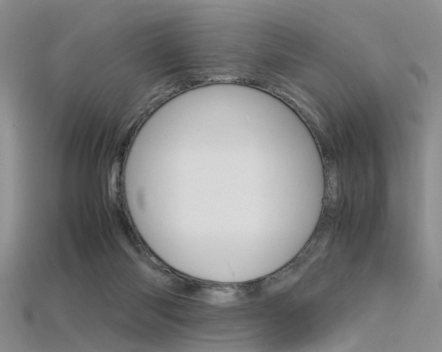 X0000115740118200911121110
