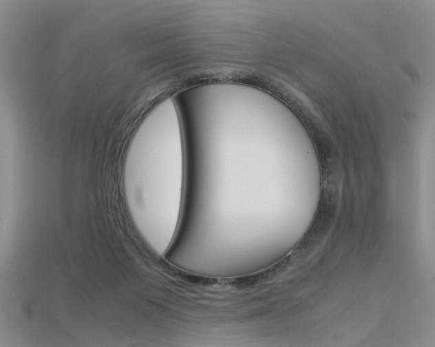 X0000115740119200911121110