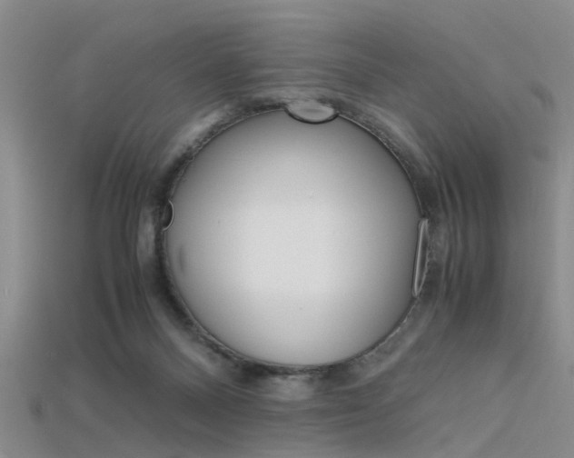 X0000115740120200911121110