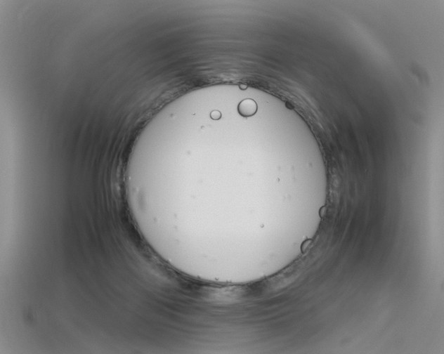 X0000115740122200911121110