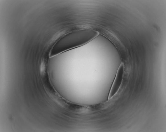 X0000115740124200911121110