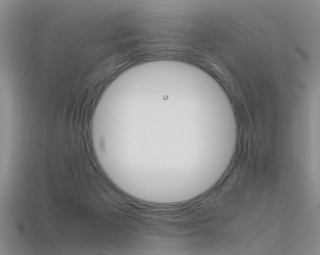 X0000115740125200911121110