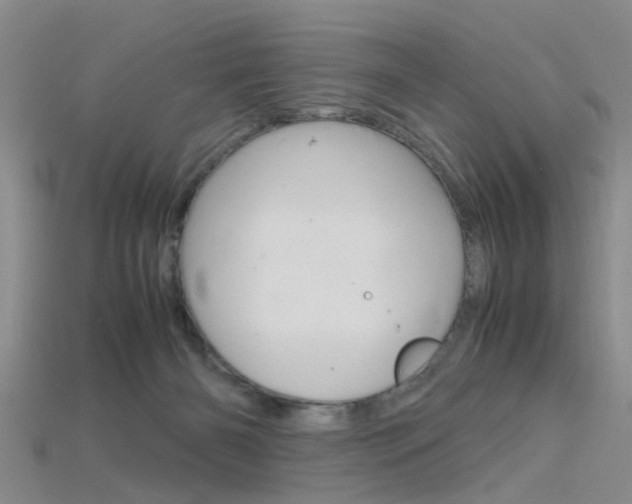 X0000115740126200911121110