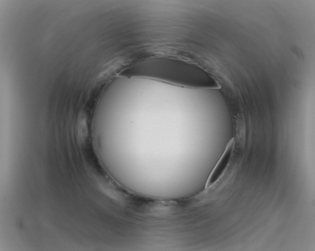 X0000115740128200911121110
