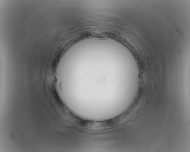 X0000115740129200911121110
