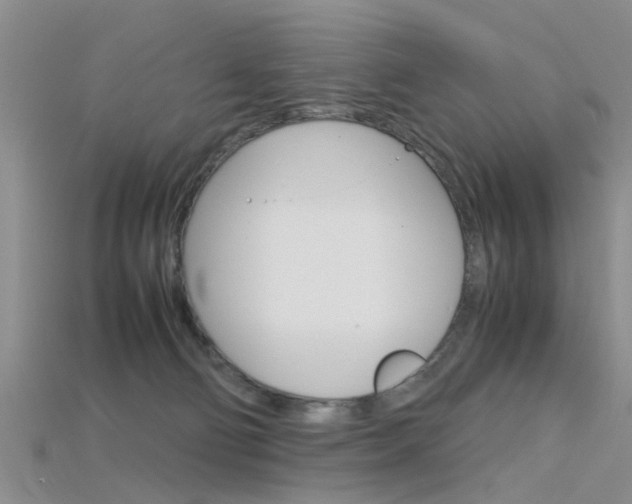 X0000115740130200911121110
