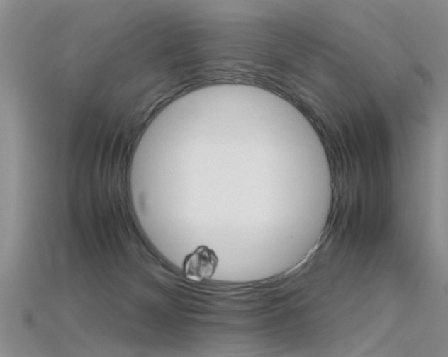 X0000115740132200911121110