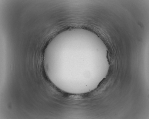 X0000115740133200911121110
