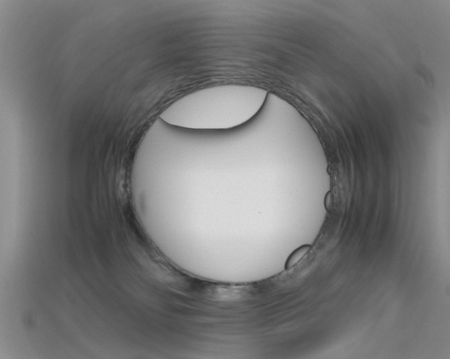 X0000115740134200911121110