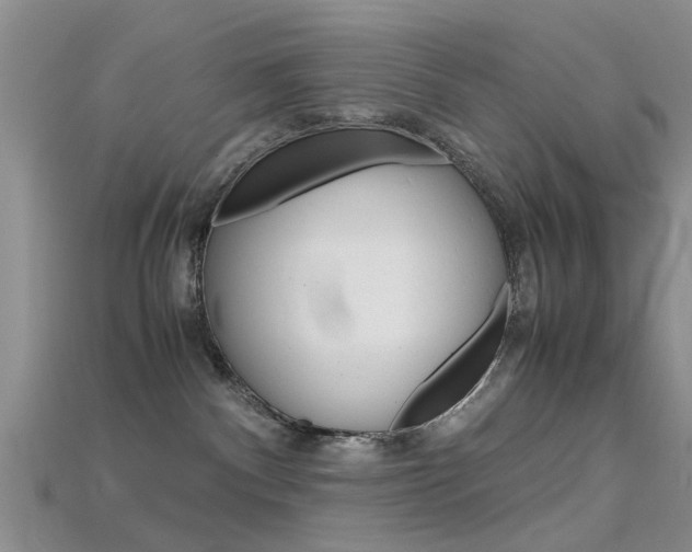 X0000115740140200911121110