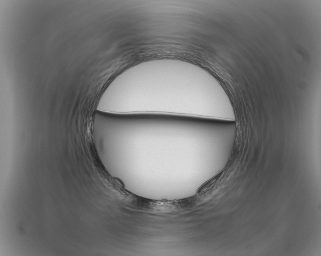 X0000115740141200911121110