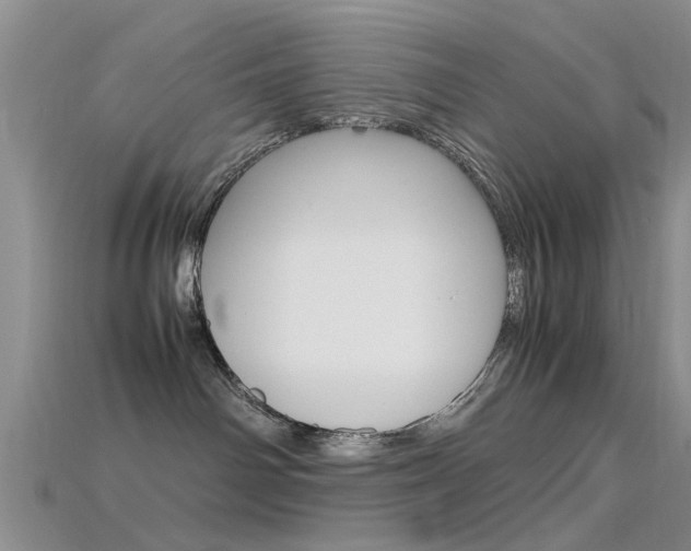 X0000115740142200911121110