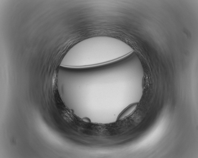 X0000115740143200911121110