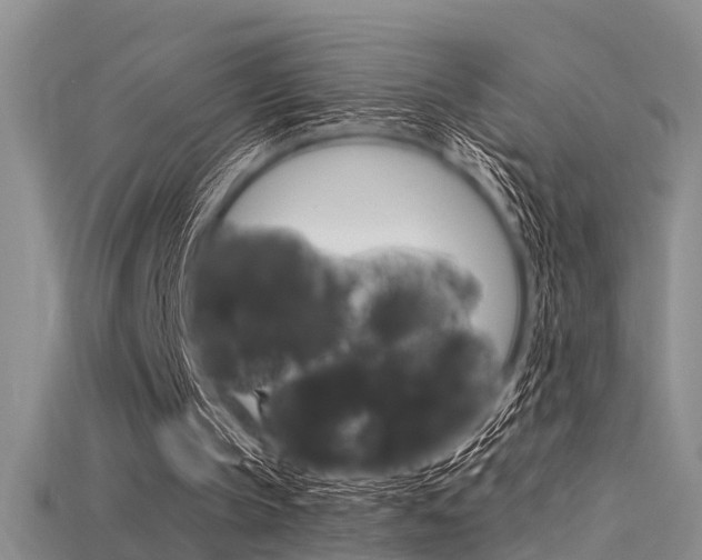 X0000115740145200911121109
