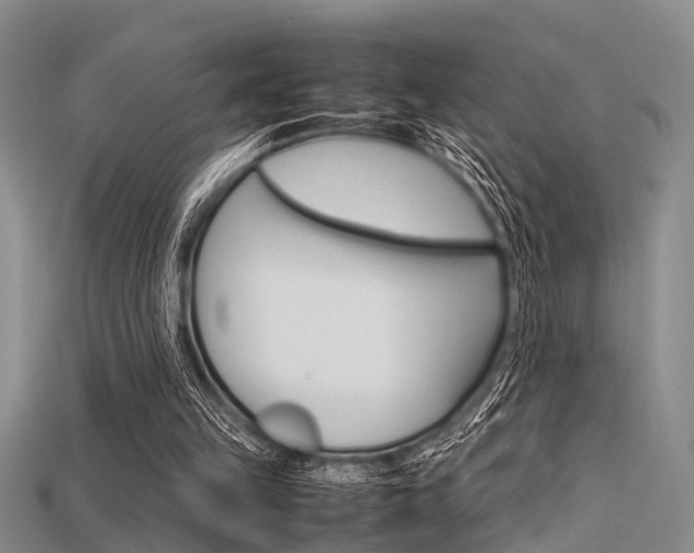 X0000115740149200911121109
