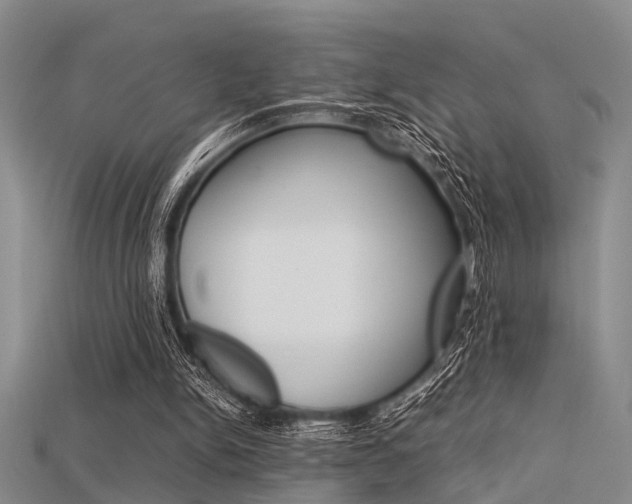 X0000115740150200911121109