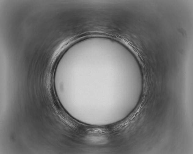 X0000115740151200911121109