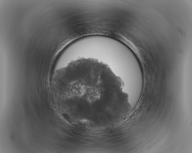 X0000115740155200911121109