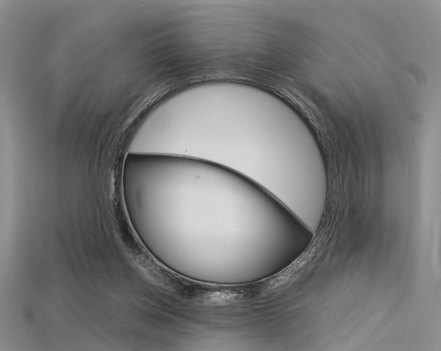 X0000115740158200911121109