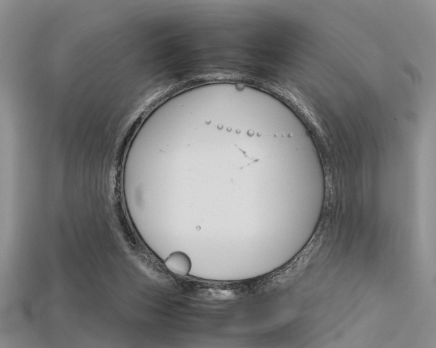 X0000115740159200911121109