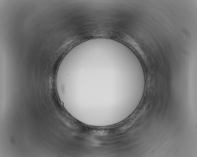 X0000115740161200911121109
