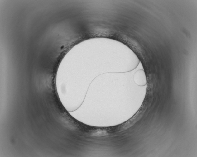X0000115740162200911121109