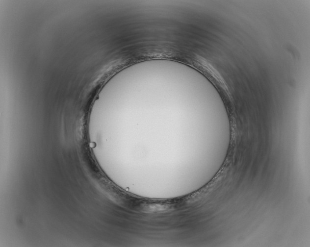 X0000115740163200911121109