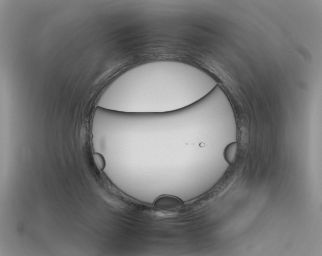 X0000115740165200911121109