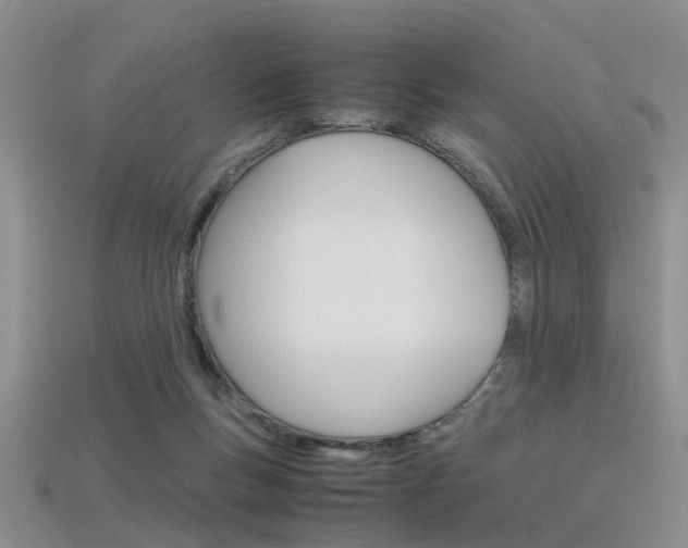 X0000115740167200911121109
