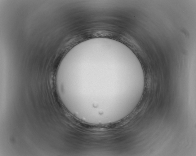 X0000115740169200911121109