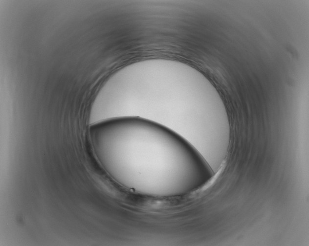 X0000115740174200911121109