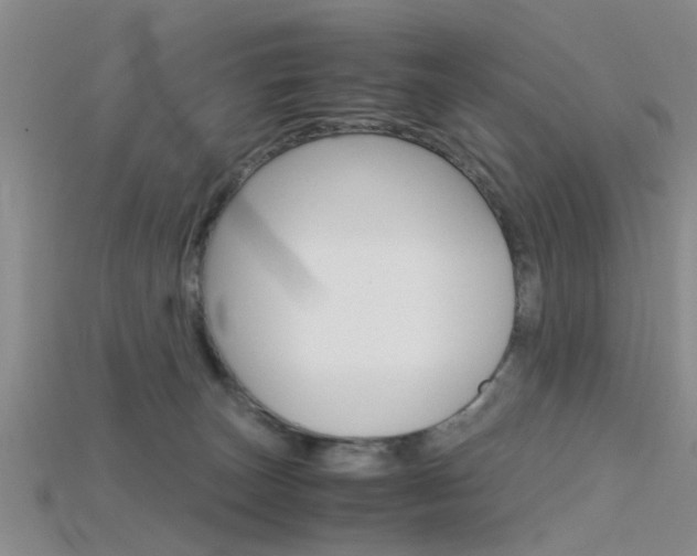 X0000115740179200911121109