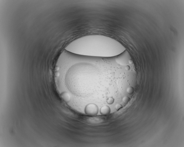X0000115740183200911121110