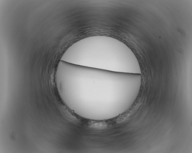 X0000115740185200911121110