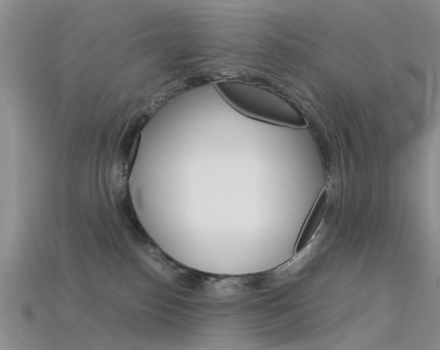 X0000115740186200911121110