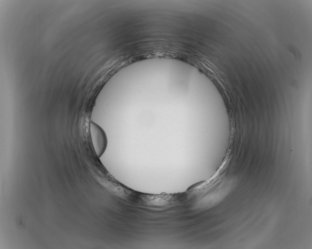 X0000115740191200911121110
