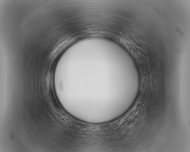 X0000115740194200911121109