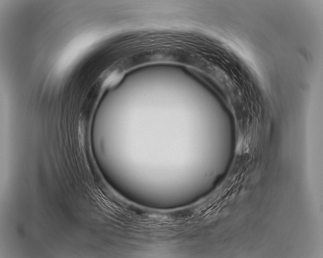 X0000115740195200911121109