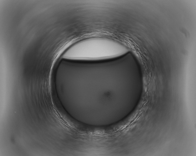 X0000115740196200911121109